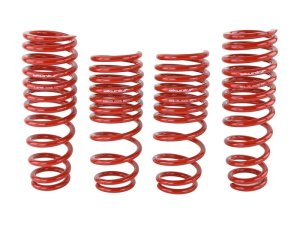 Acura Integra Coilover Suspension Kit - Front + Rear - Skunk2 Racing - Lowering Springs - `94-`01